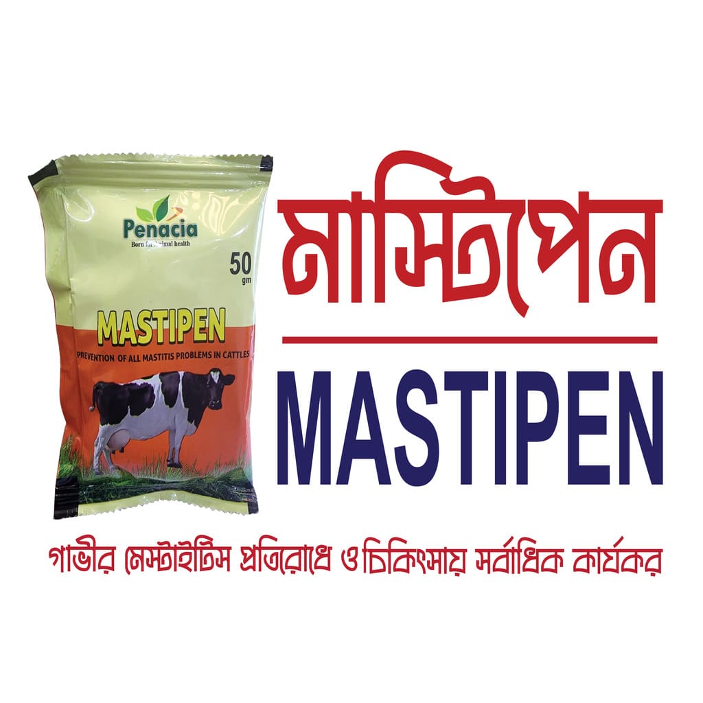 Mastipen-50gm