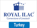 turkey